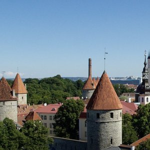 Tallin