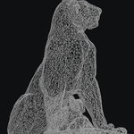 lioness_wireframe_a2-768x1086
