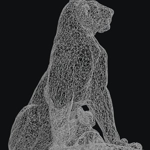 lioness_wireframe_a2-768x1086