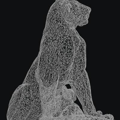 lioness_wireframe_a2-768x1086